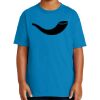 Youth Ultra Cotton ® 100% US Cotton T Shirt Thumbnail